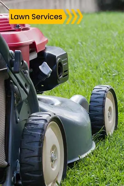lawn services