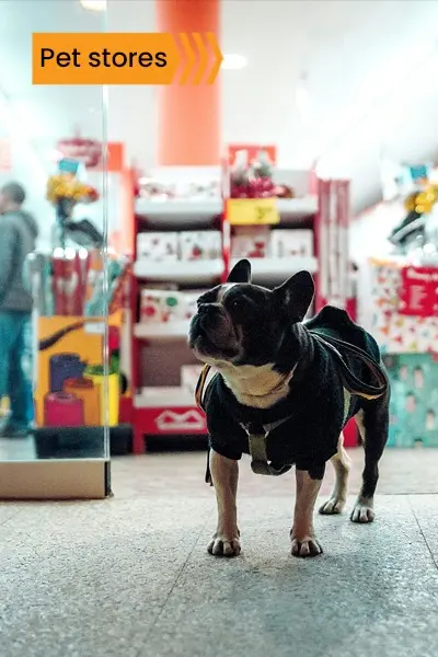 pet stores